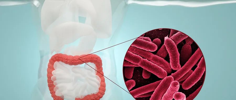 新型腸癌篩查檢測登場：多靶點糞便RNA檢測優于傳統便潛血檢測